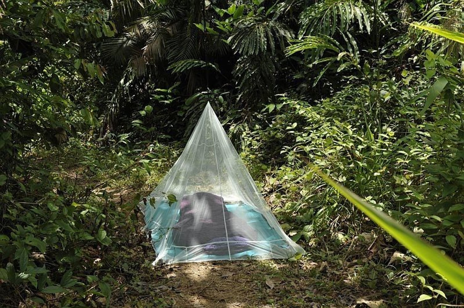 productImage: Outdoor Net Single Silt Green