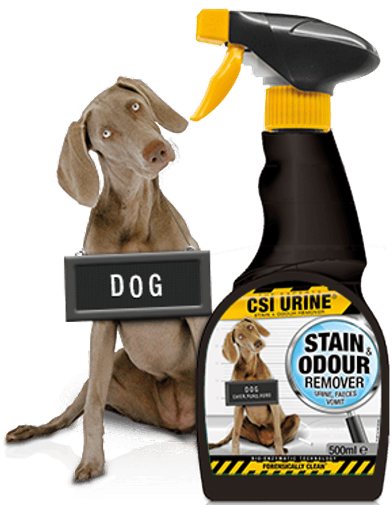 productImage: Dog Spray 500 ml