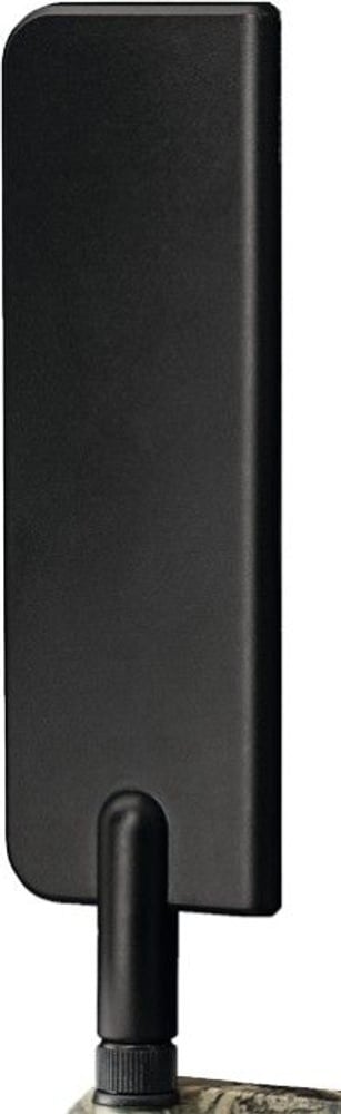 productImage: 4G Trail Camera Antenna
