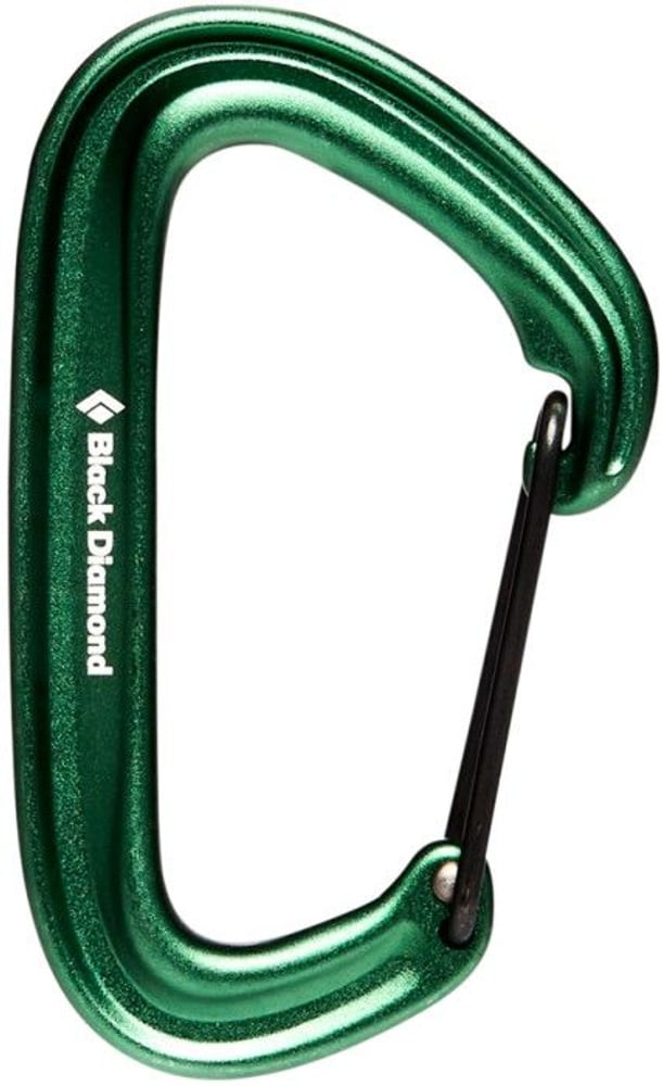 productImage: Litewire Carabiner Green