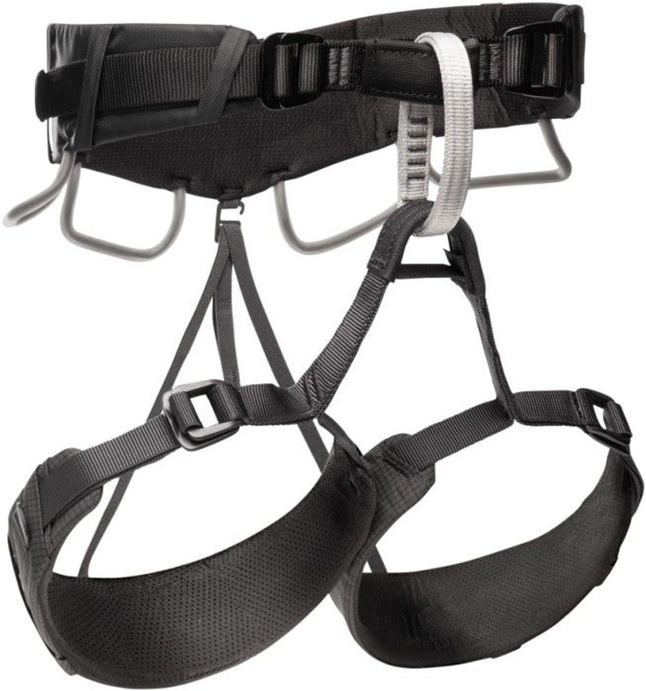 productImage: Momentum 4S Harness Anthracite