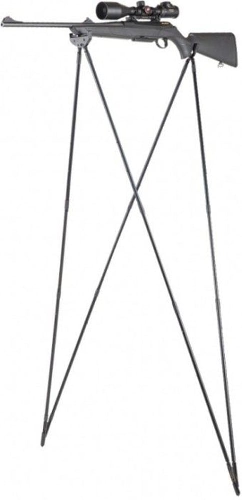 productImage: - Mountain