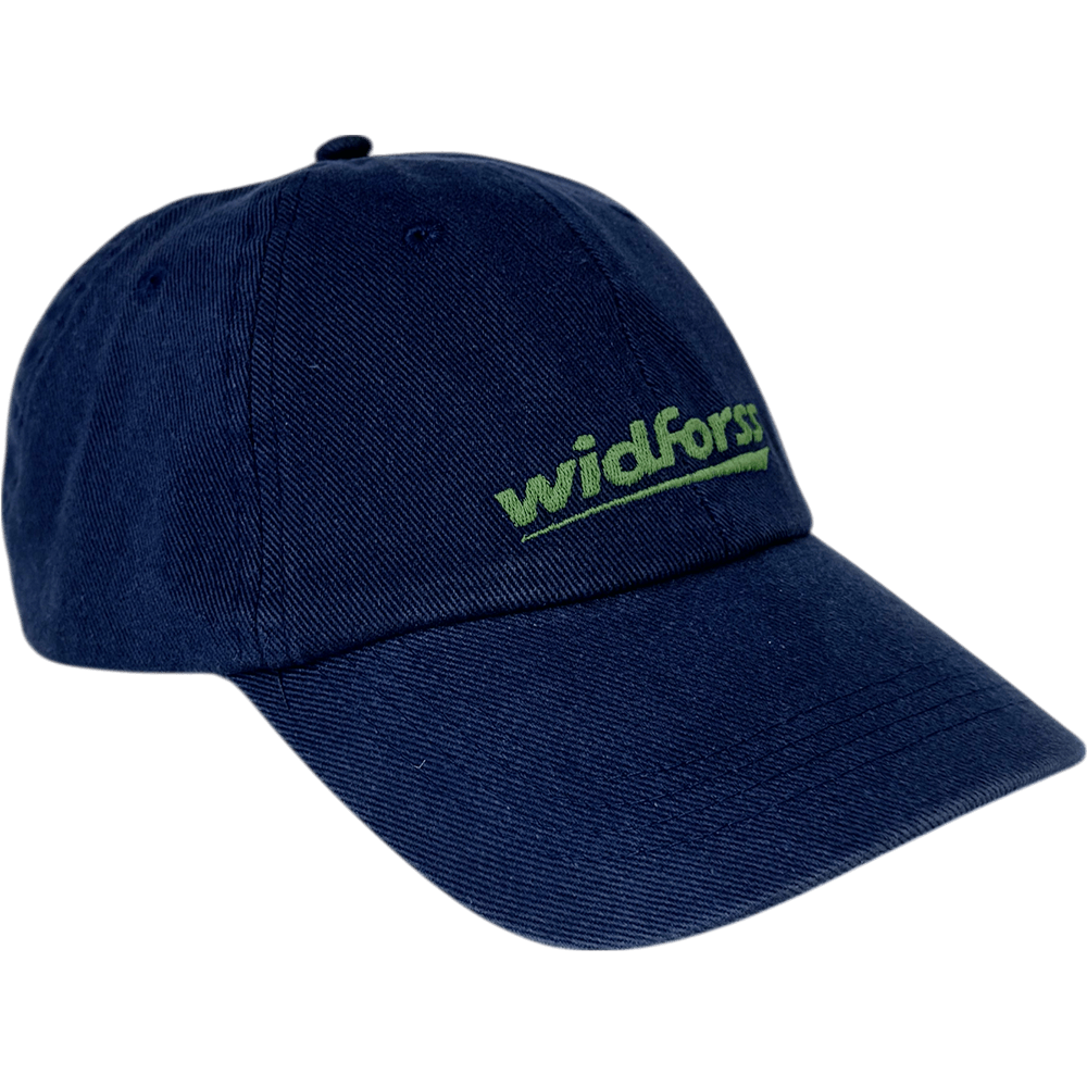 productImage: Unisex Cap Blue