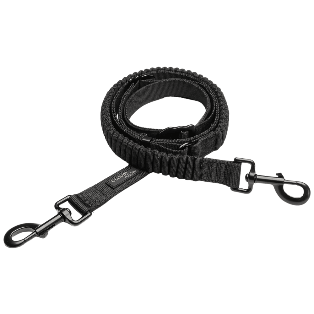 productImage: L-2-Jogging-Leash S Black