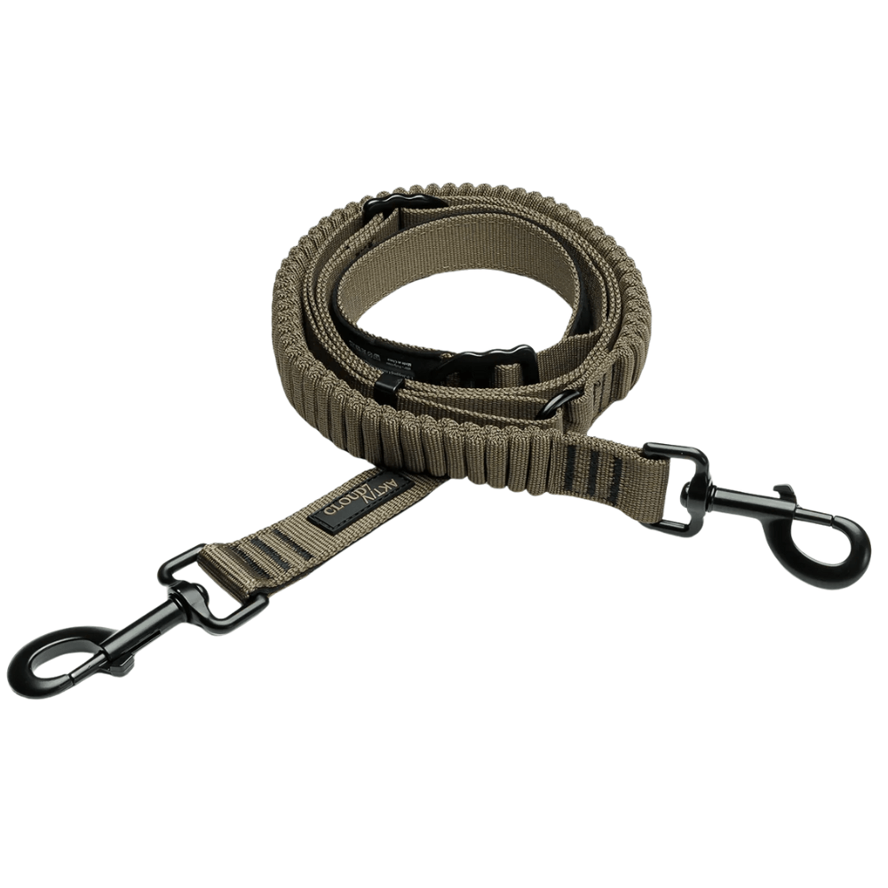 productImage: L-2-Jogging-Leash S Olive