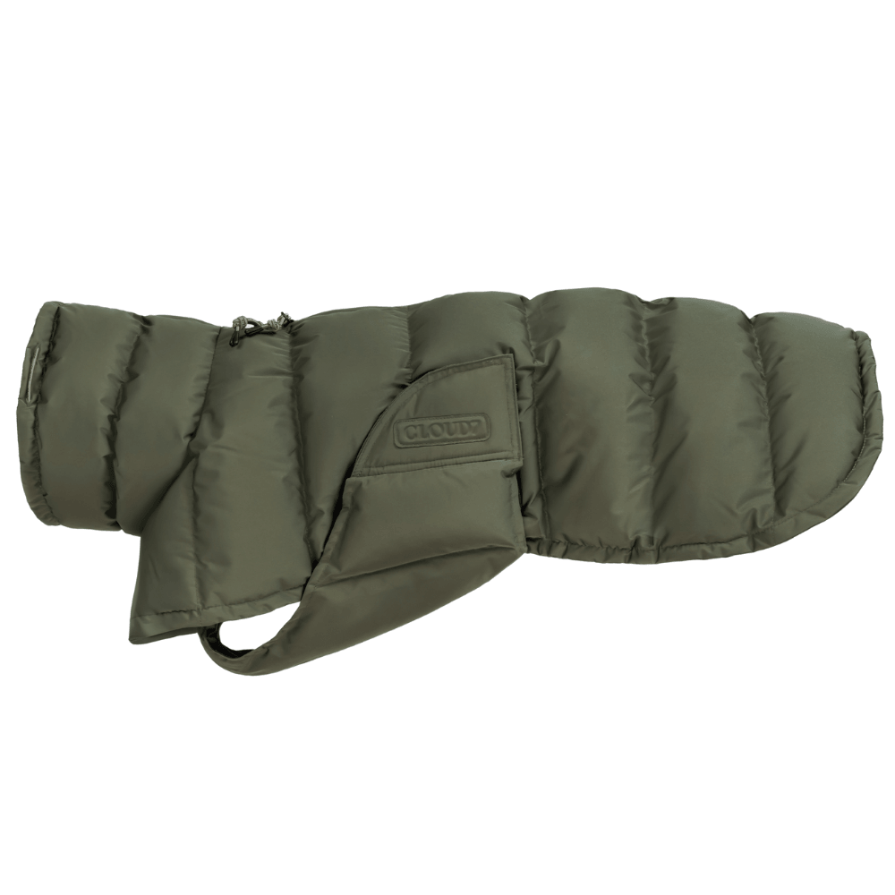 productImage: Everest Winter Coat Light size 3-5 Olive