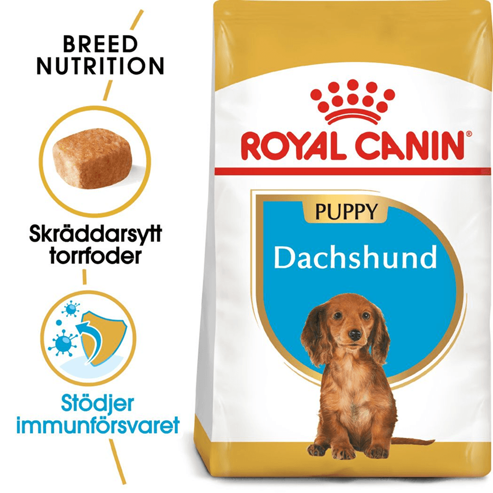 productImage: Dachshund Puppy 1,5 Kg