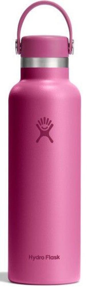 productImage: Standard 21oz (621ml) Solid Reef