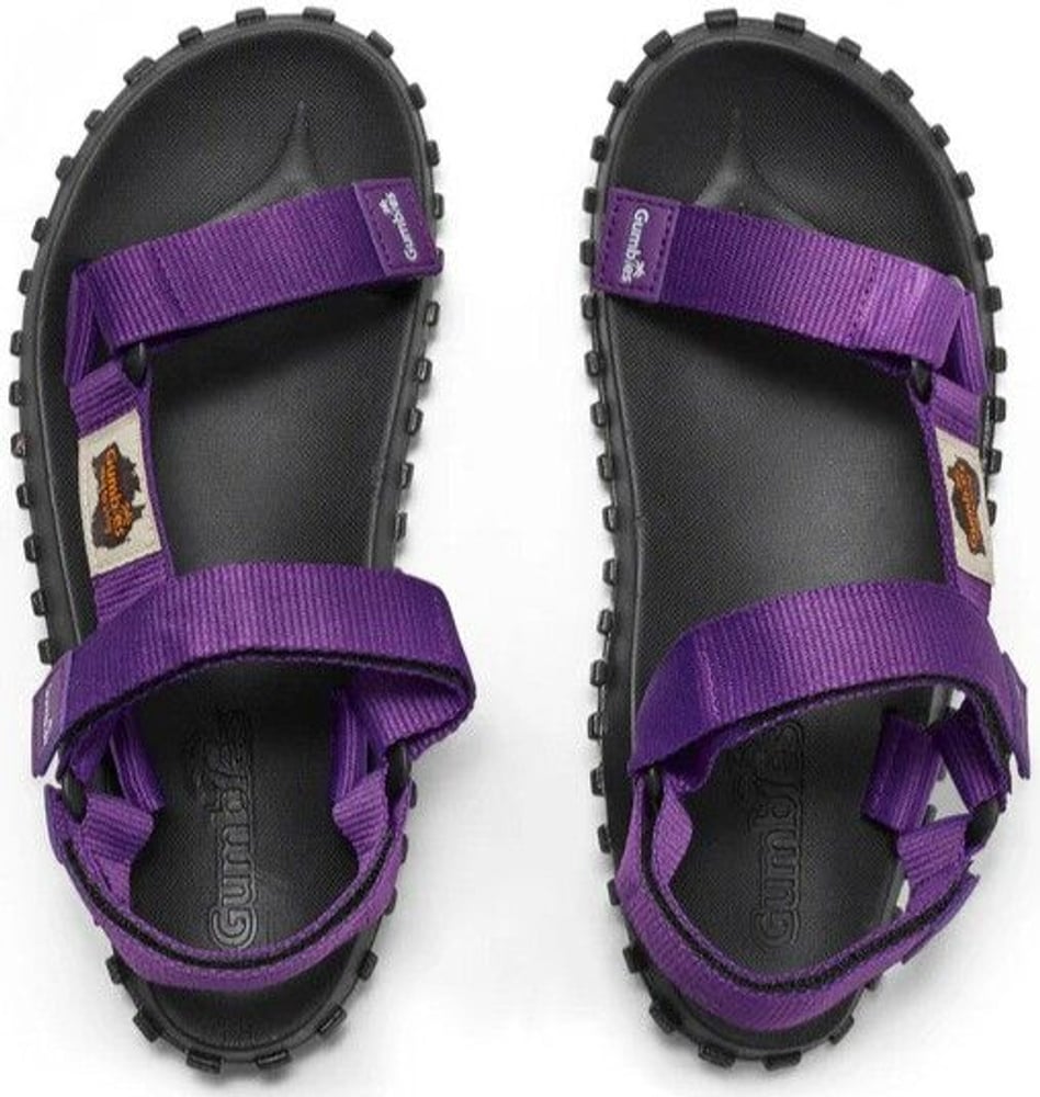 productImage: Scrambler Purple Unisex