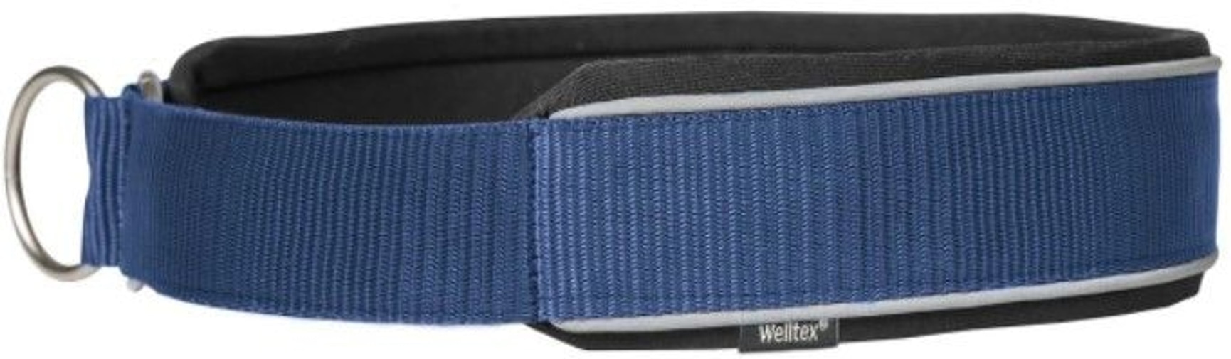 Charlie Hundhalsband 30-35 cm Blå, view: 1