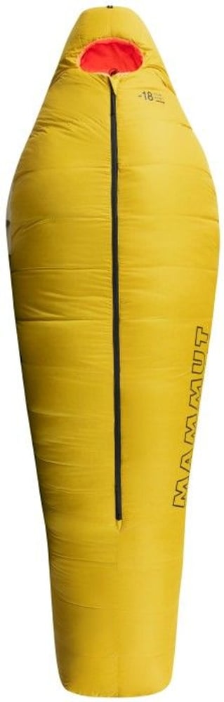 productImage: Women's Comfort Down Bag -18C Dandelion