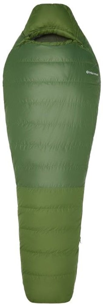 productImage: Mad River 30 Long Foliage/Rosin Green