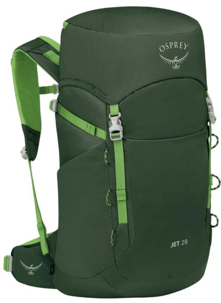 Green Canopy/Limeline Green