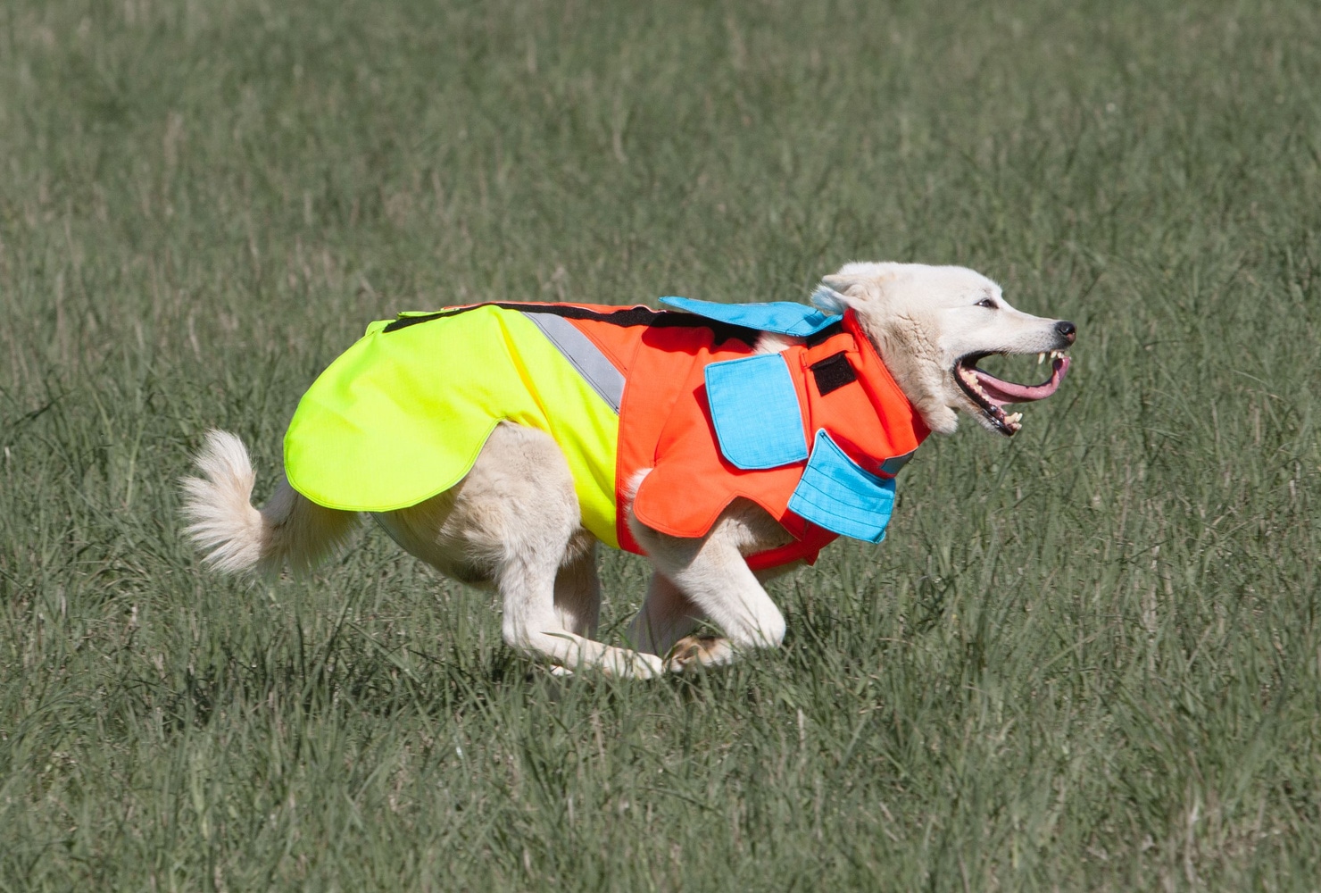 productImage: Tuskproof Boar v.5 Orange M