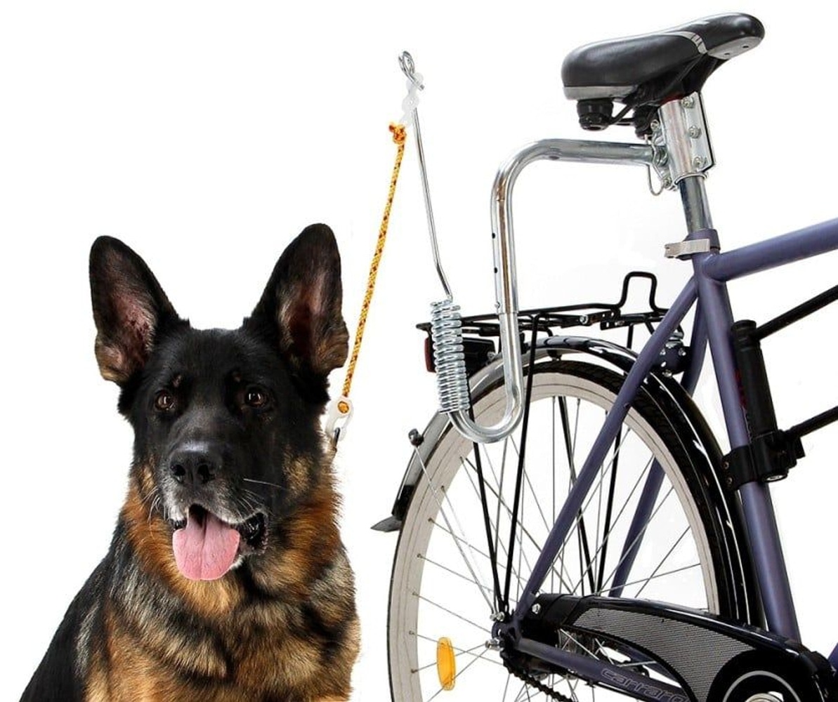 productImage: Cykelstativ till Hundkoppel