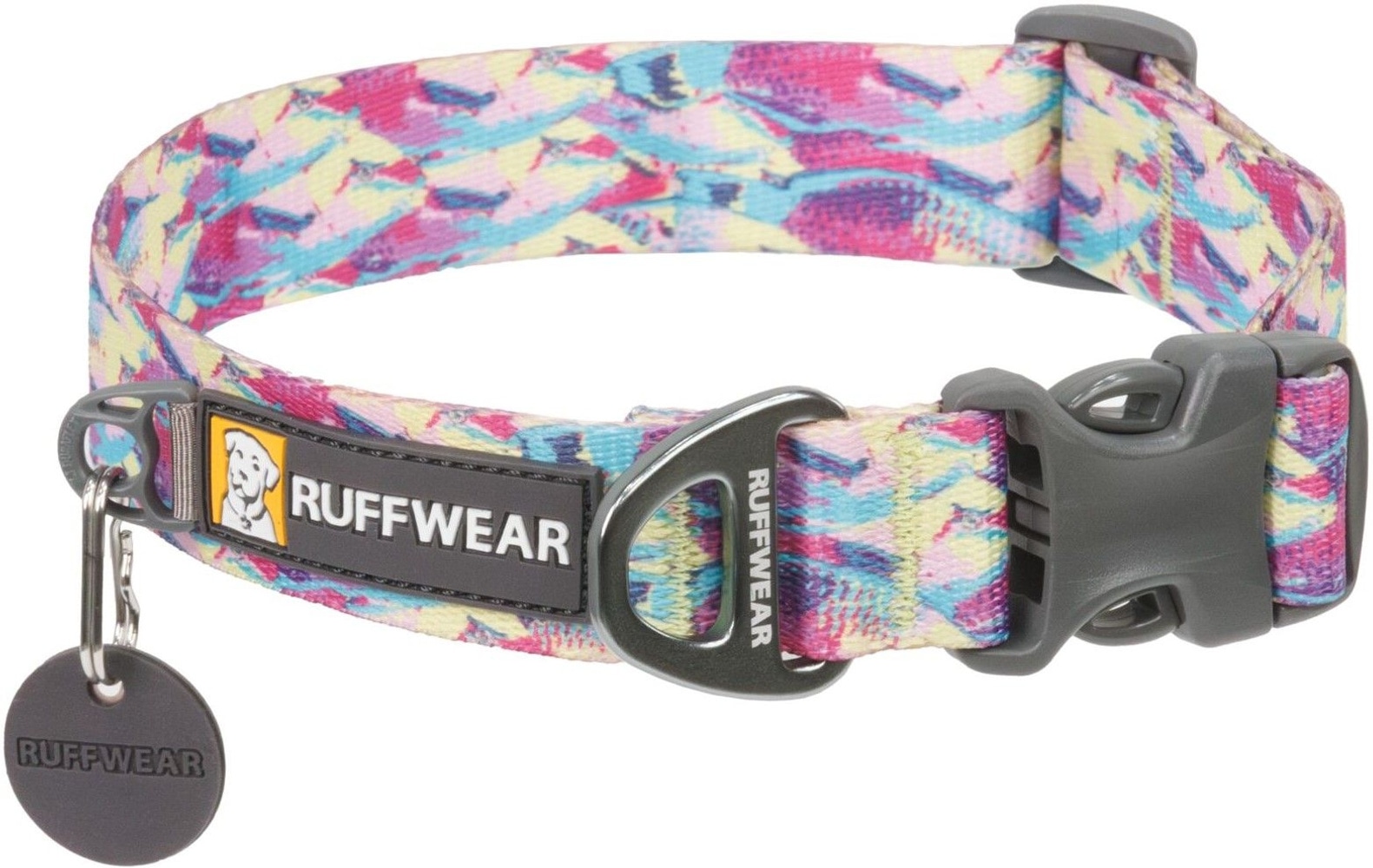 Front Range Collar Reef Fish, view: 1