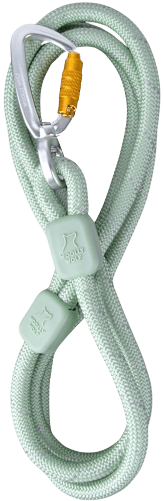productImage: Rope Leash 10 mm Glacier Green