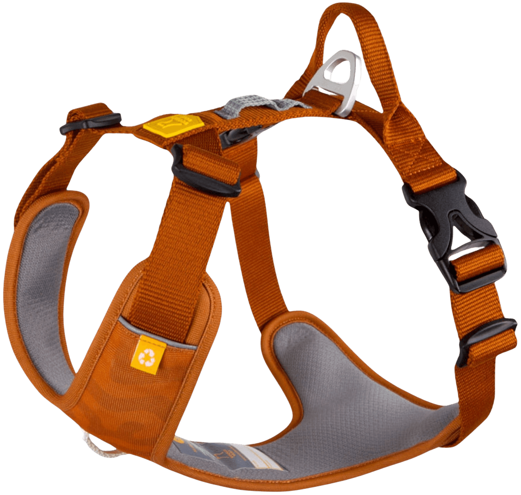 productImage: Roam Harness L Terracotta Ripple