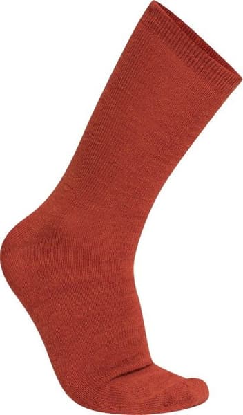Autumn Red