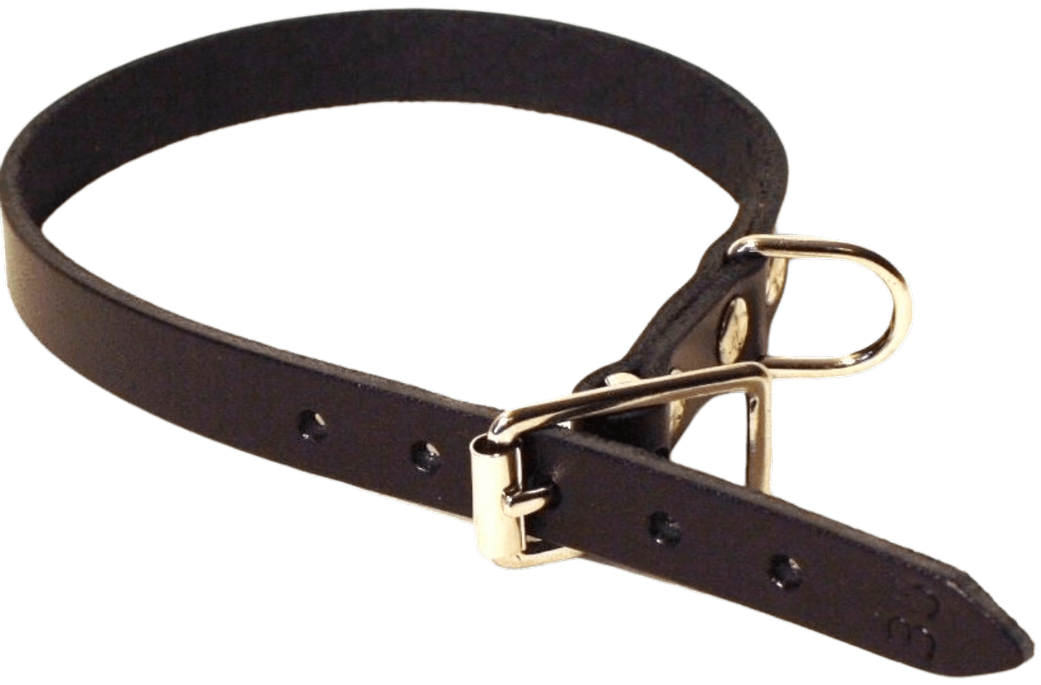 productImage: Halsband Läder Svart 22 mm x 60 cm
