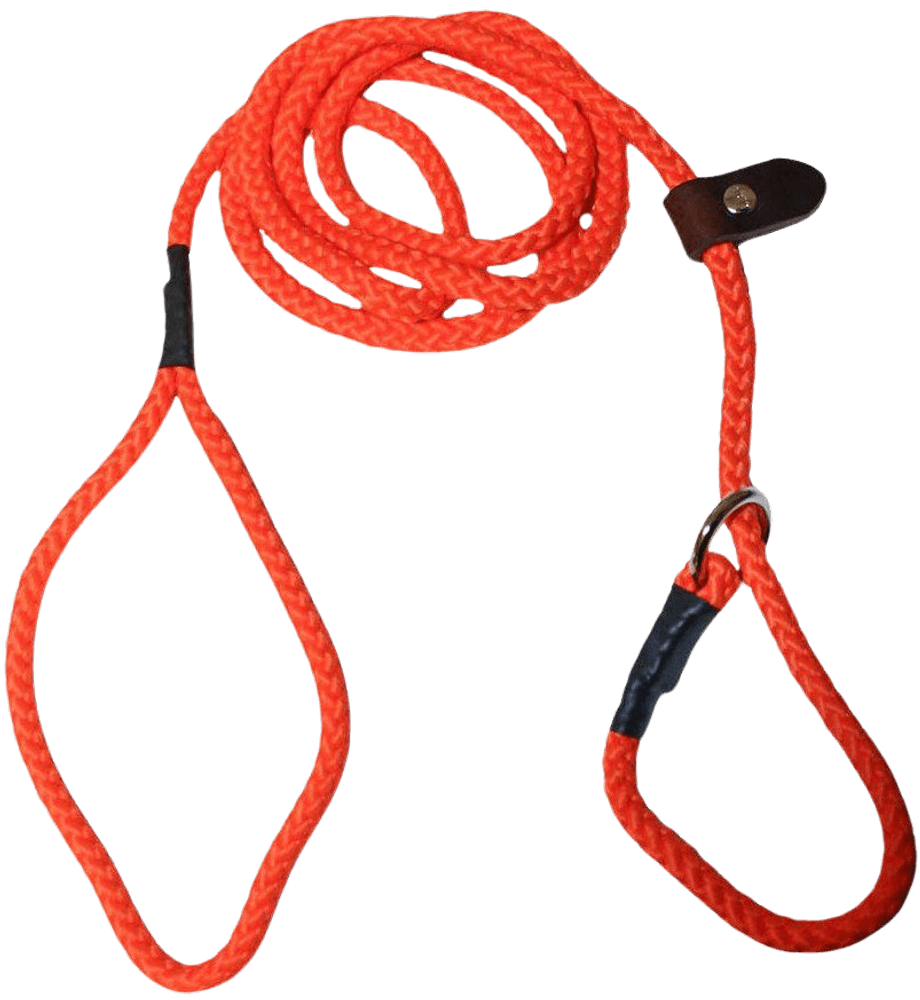 productImage: Koppel Retriever Orange 10 mm x 190 cm