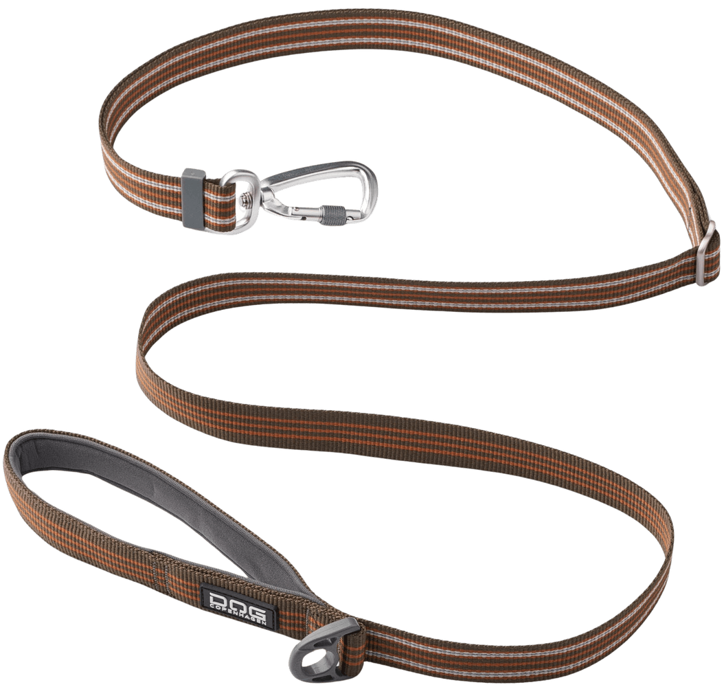 productImage: Urban Freestyle Leash Mocca