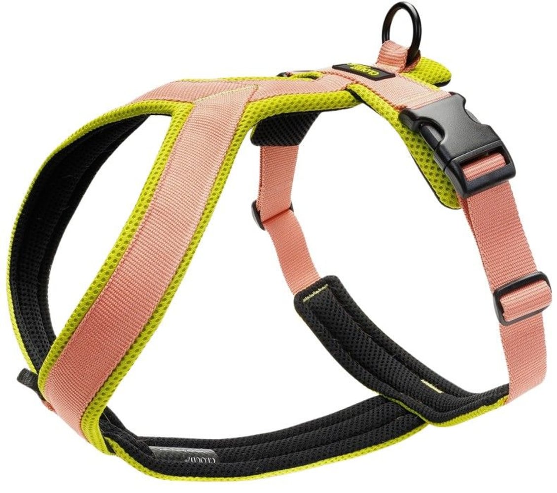 productImage: Y-1-Harness Peach / M-L Neon Green