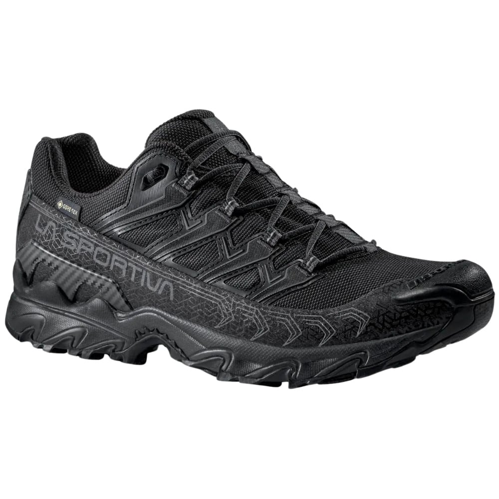 productImage: W's Ultra Raptor II GTX Black/Reflective