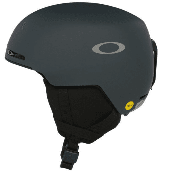 India Ink / Metallic Slvr