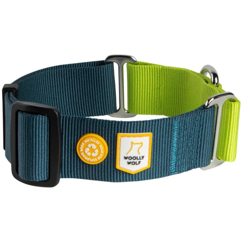 productImage: Color Block Martingale Collar M (30-45 cm) Deep Teal Mix