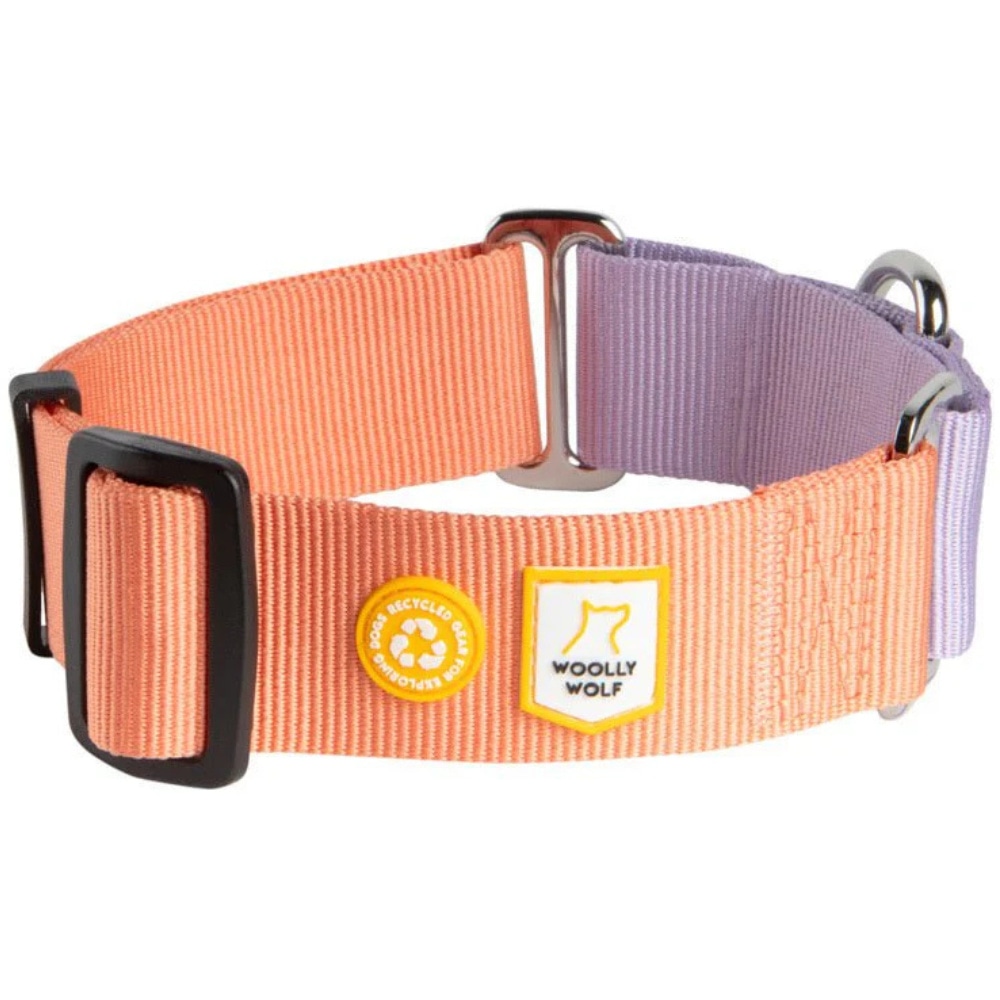 productImage: Color Block Martingale Collar M (30-45 cm) Salmon Pink Mix
