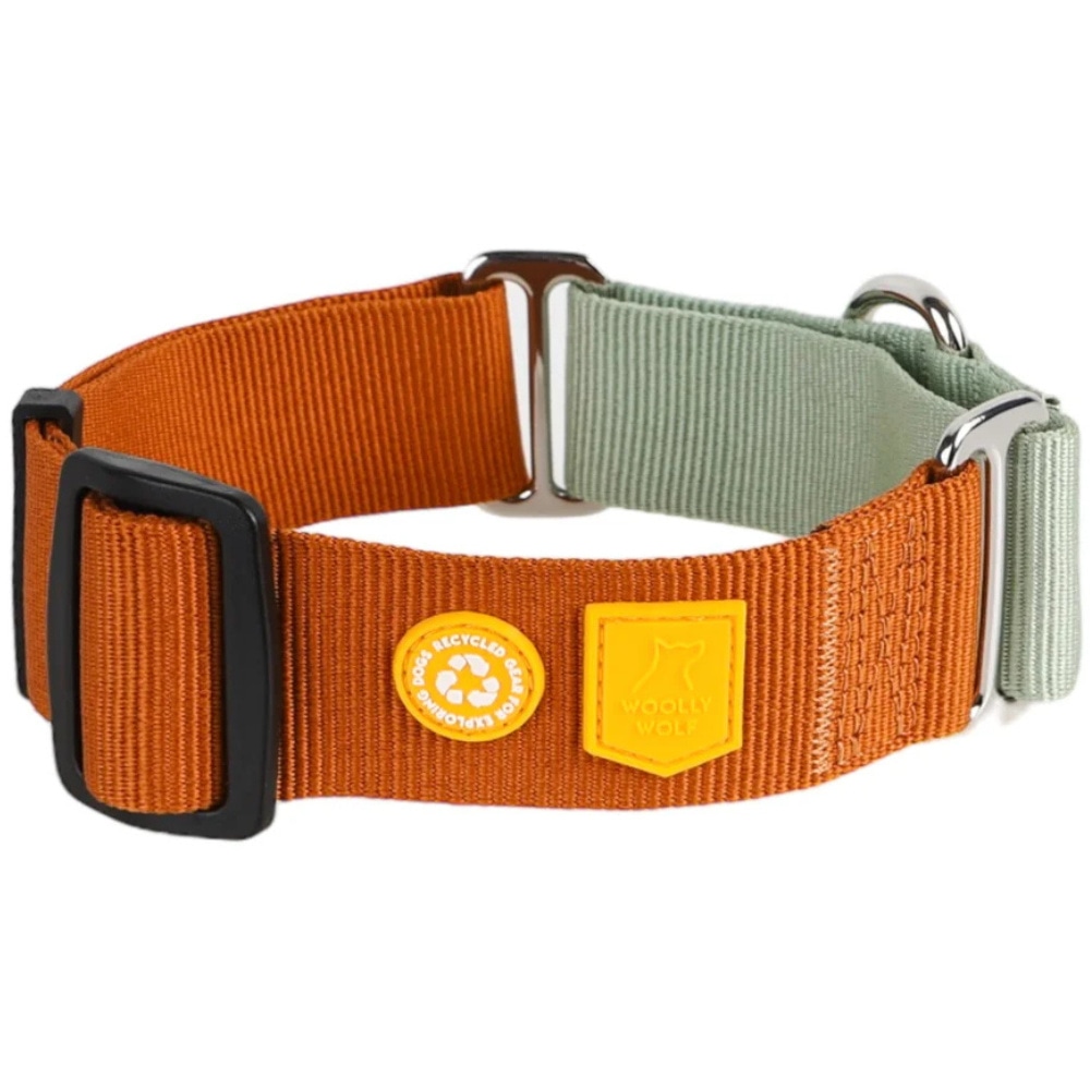 Color Block Martingale Collar M (30-45 cm) Terracotta Mix, view: 1