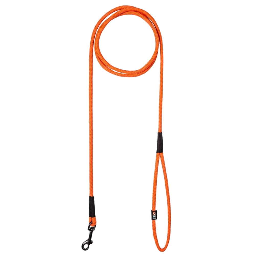 productImage: Swim Leash Orange