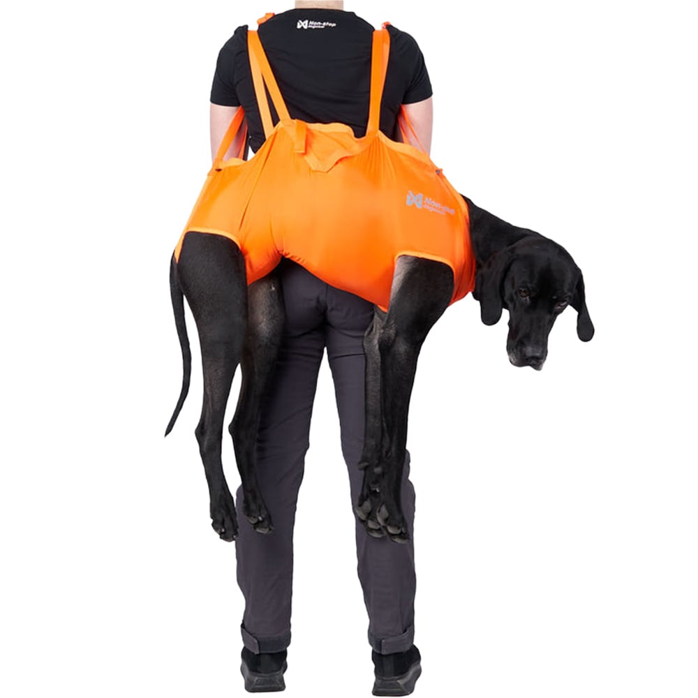 productImage: Dog Rescue Sling Orange