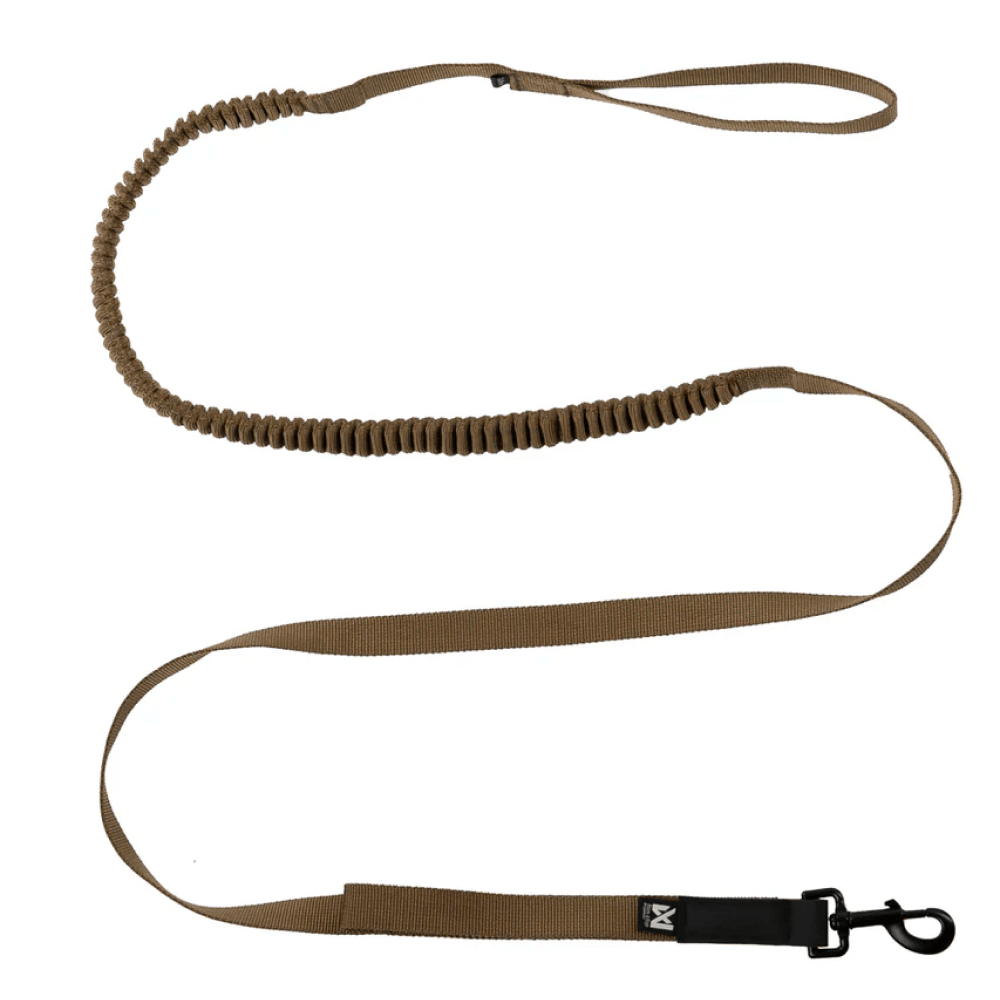 productImage: Touring Bungee Wd 2.8M/23Mm Olive
