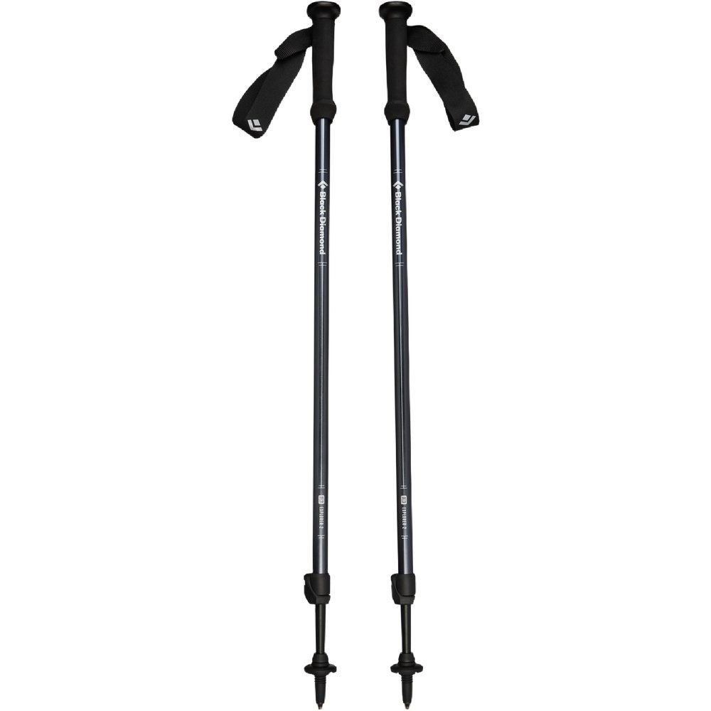 Explorer 2 Trekking Poles Ink Blue, view: 1